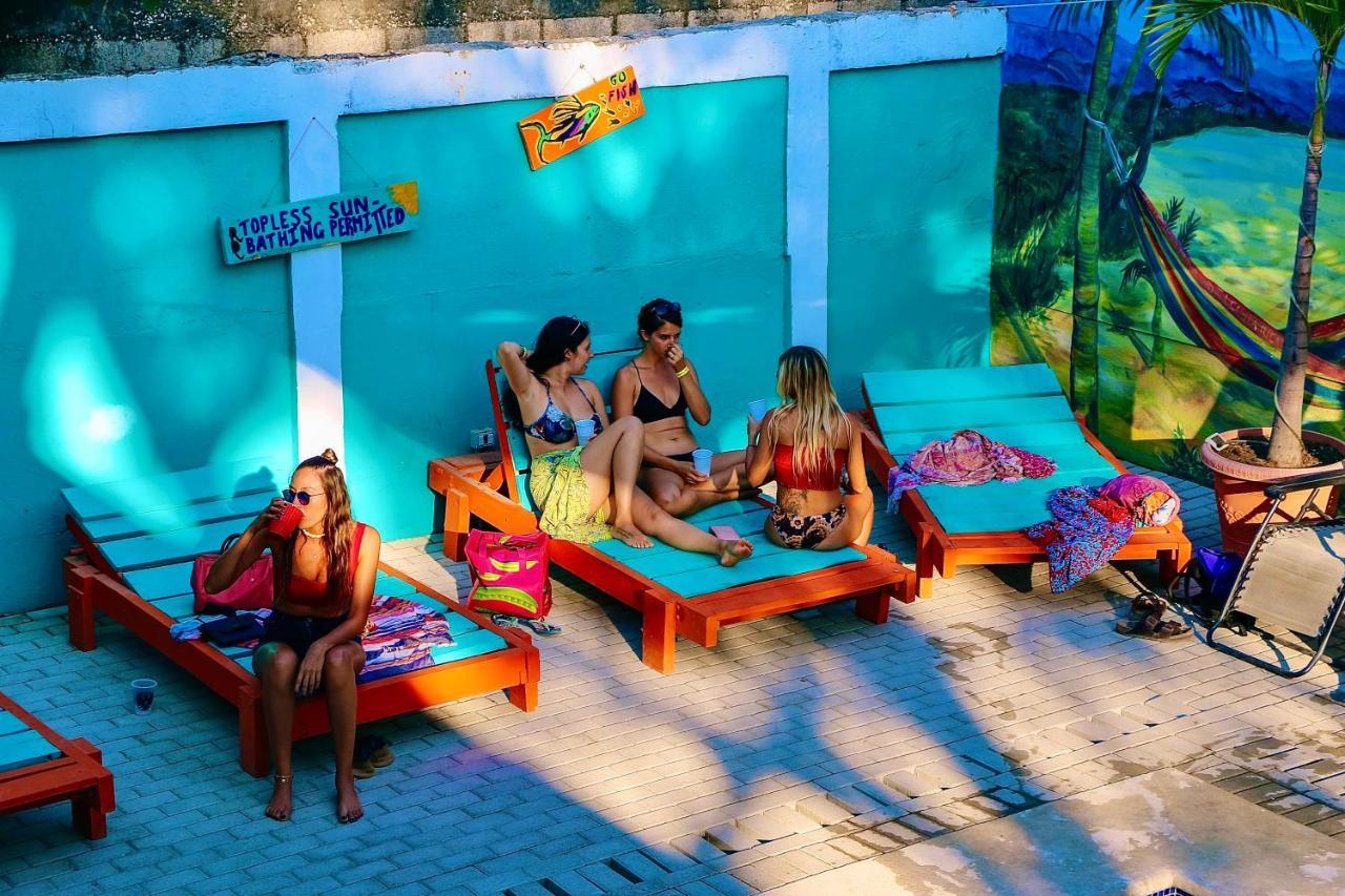 Blue Iguana Hotel Samara Exterior photo