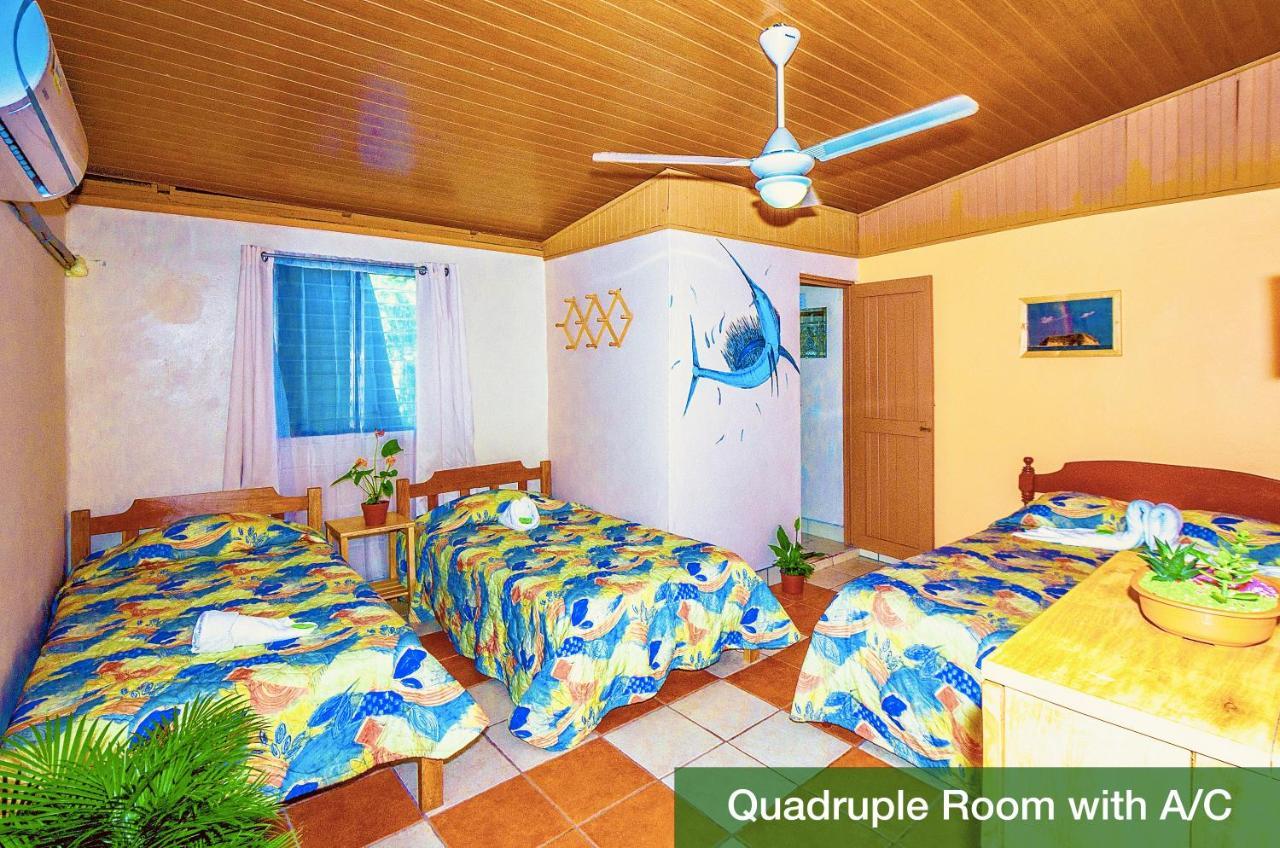 Blue Iguana Hotel Samara Exterior photo