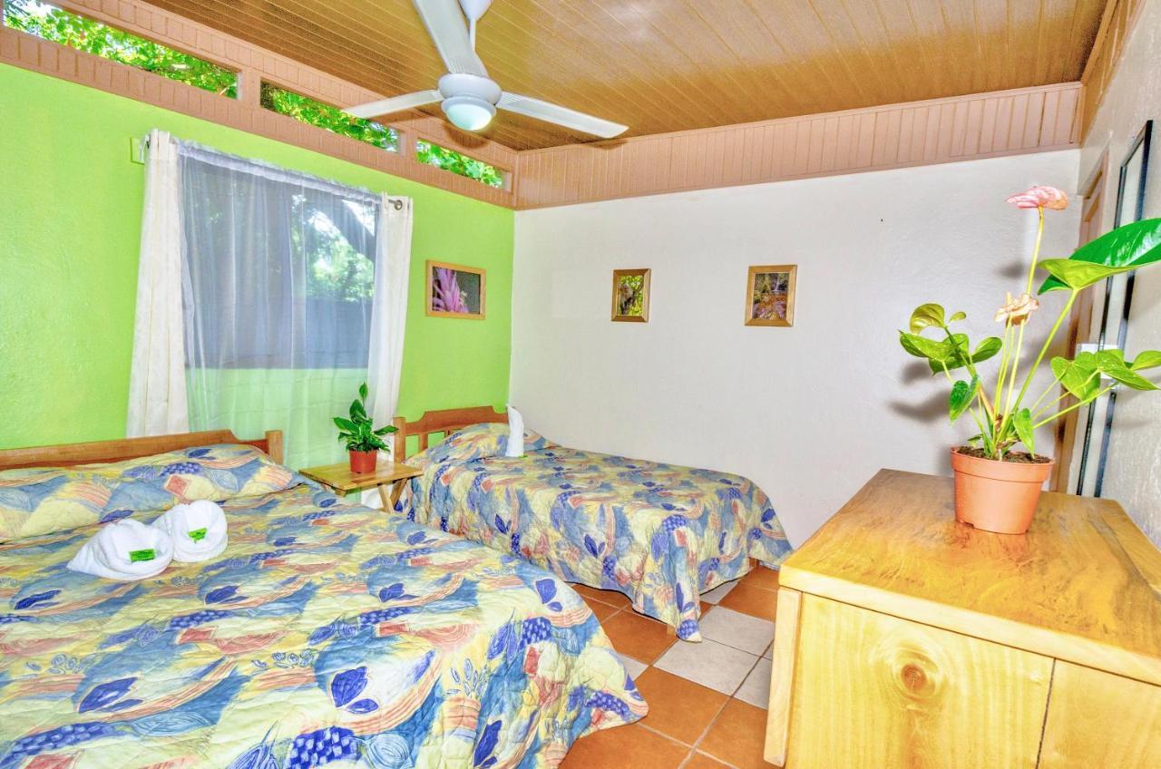 Blue Iguana Hotel Samara Exterior photo
