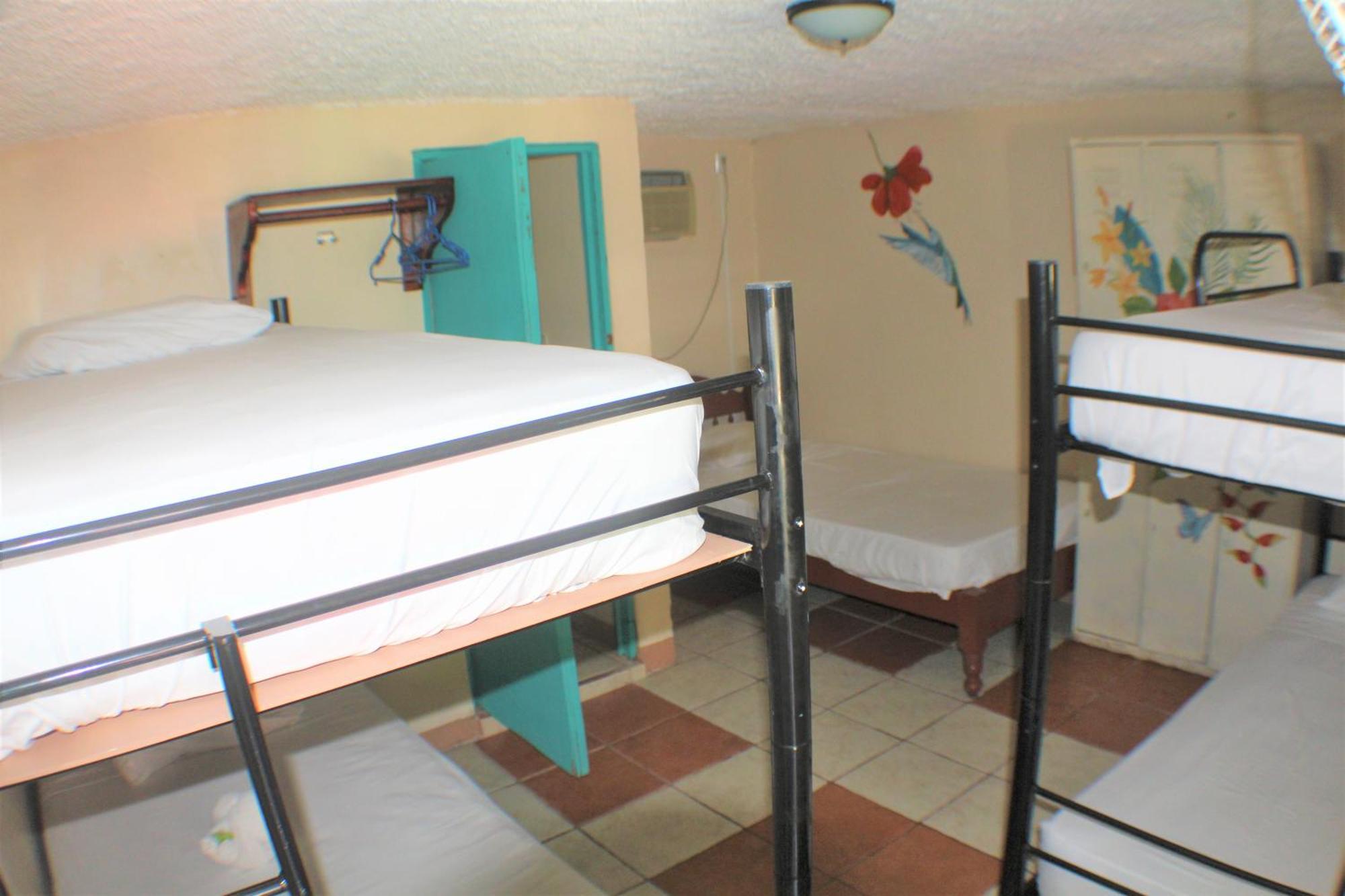 Blue Iguana Hotel Samara Exterior photo